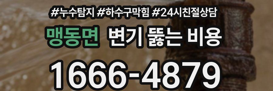 맹동면 변기 뚫는 비용