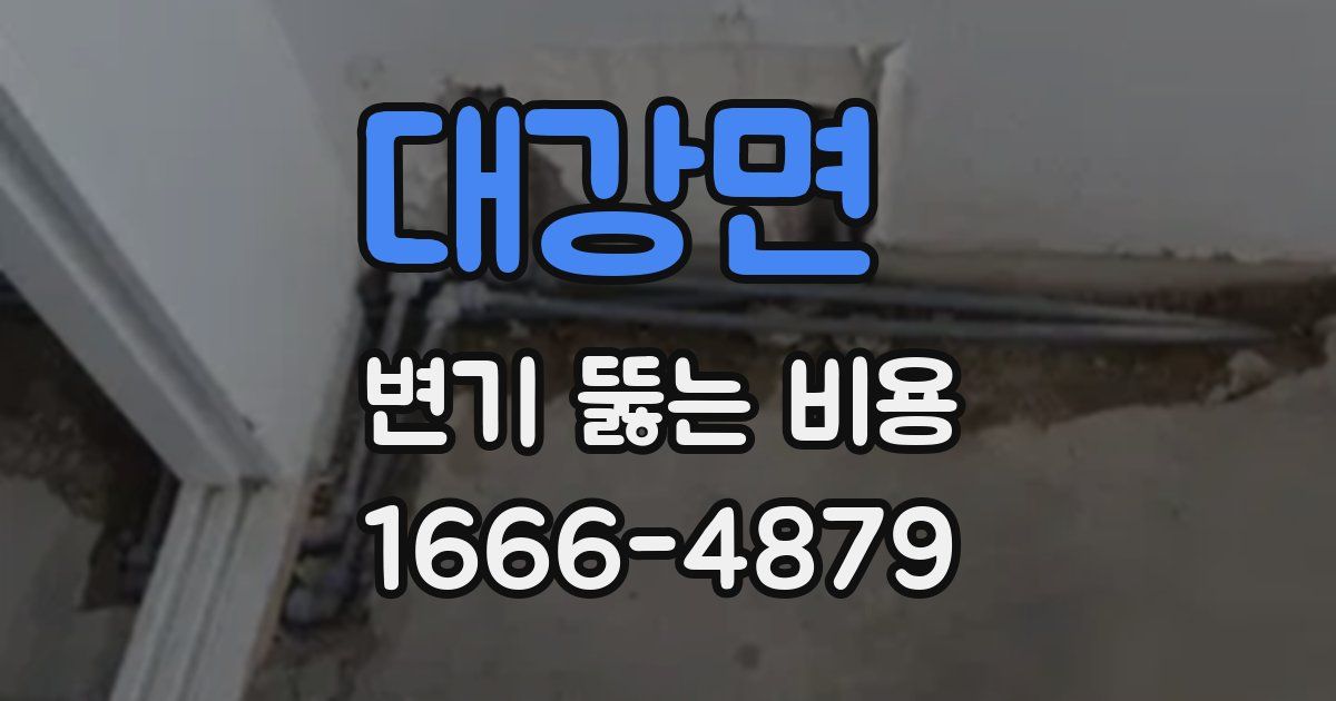 대강면 변기 뚫는 비용