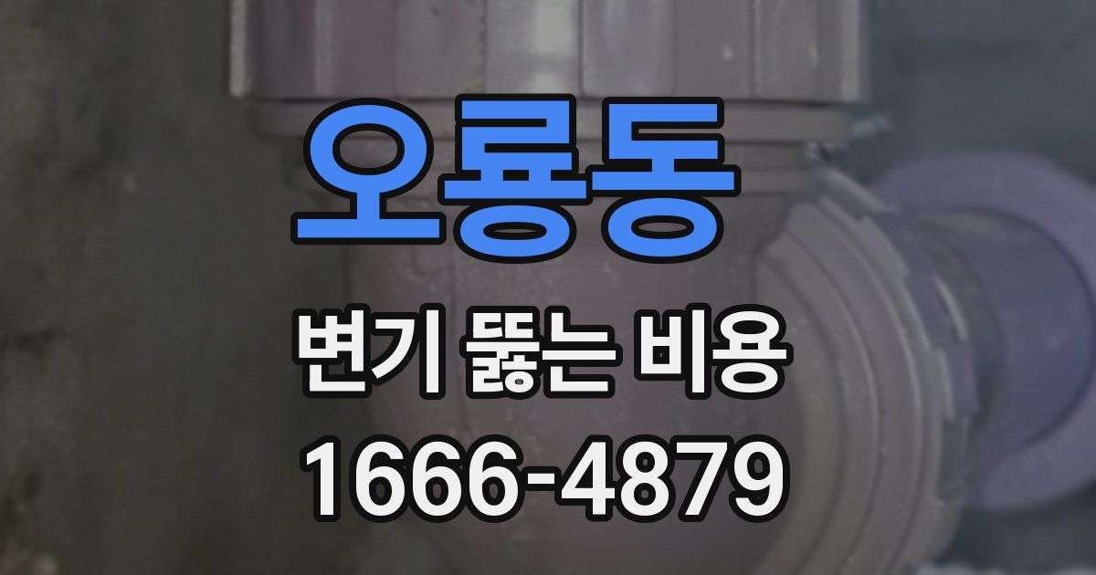 오룡동 변기 뚫는 비용