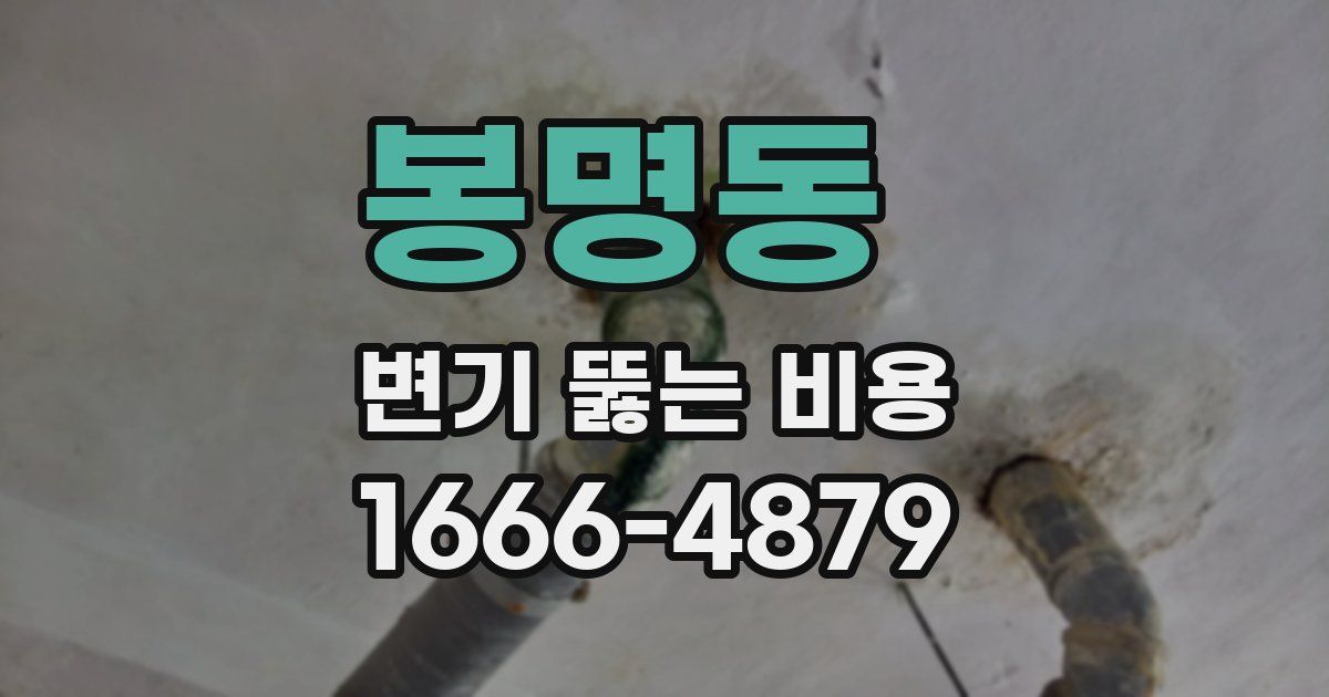 봉명동 변기 뚫는 비용