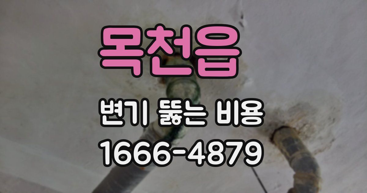 목천읍 변기 뚫는 비용