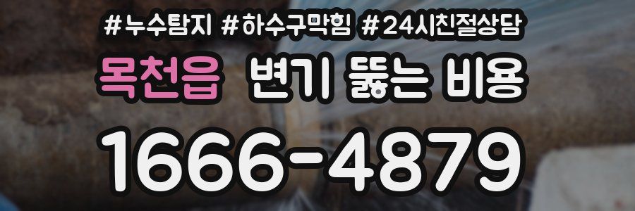 목천읍 변기 뚫는 비용