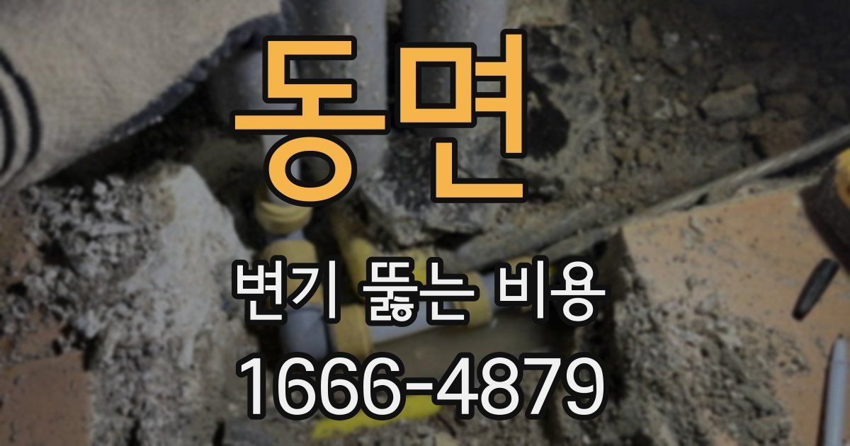 동면 변기 뚫는 비용