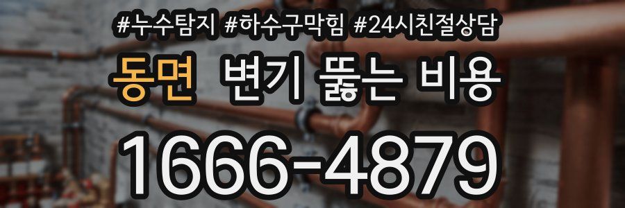 동면 변기 뚫는 비용