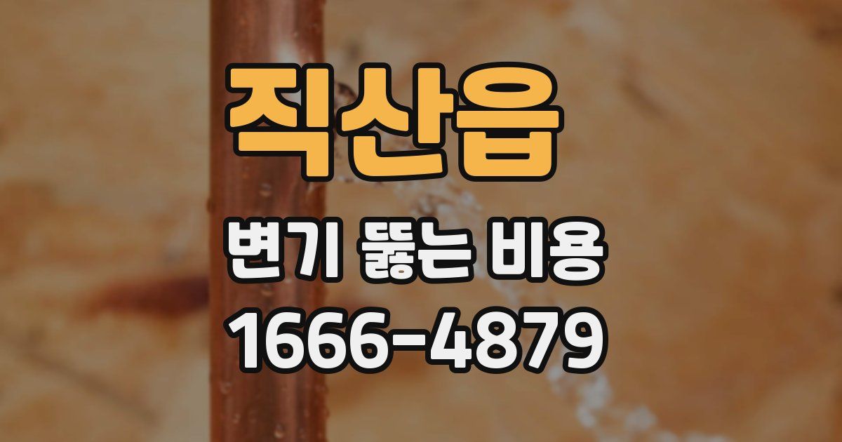 직산읍 변기 뚫는 비용