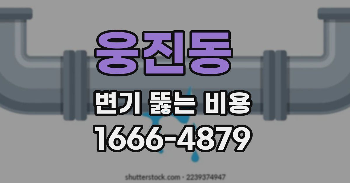 웅진동 변기 뚫는 비용
