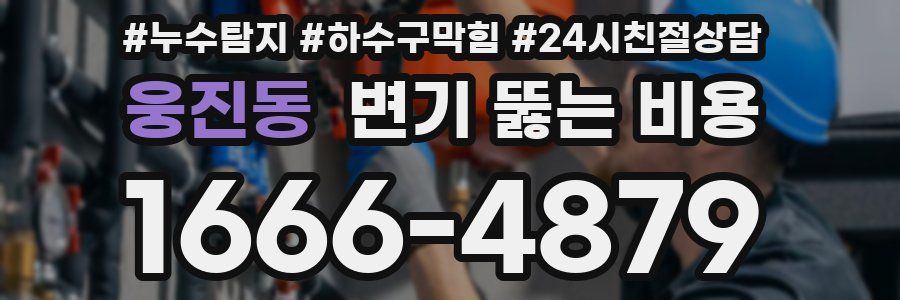 웅진동 변기 뚫는 비용