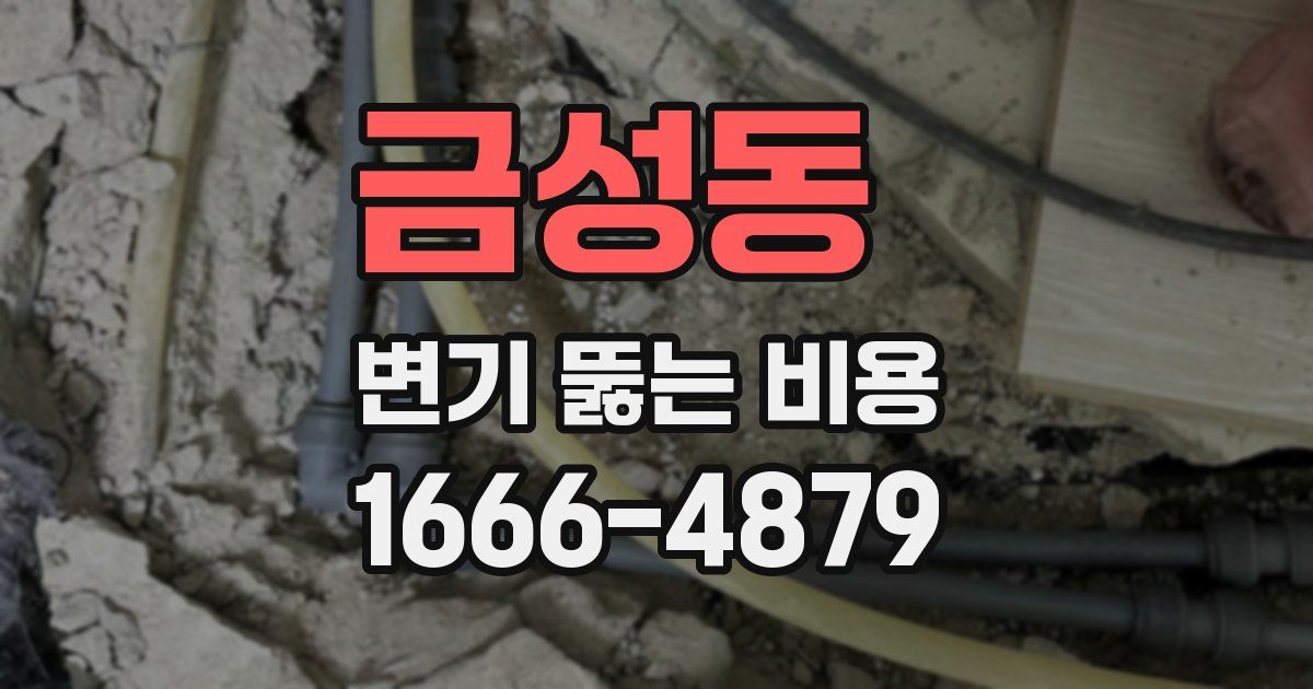 금성동 변기 뚫는 비용