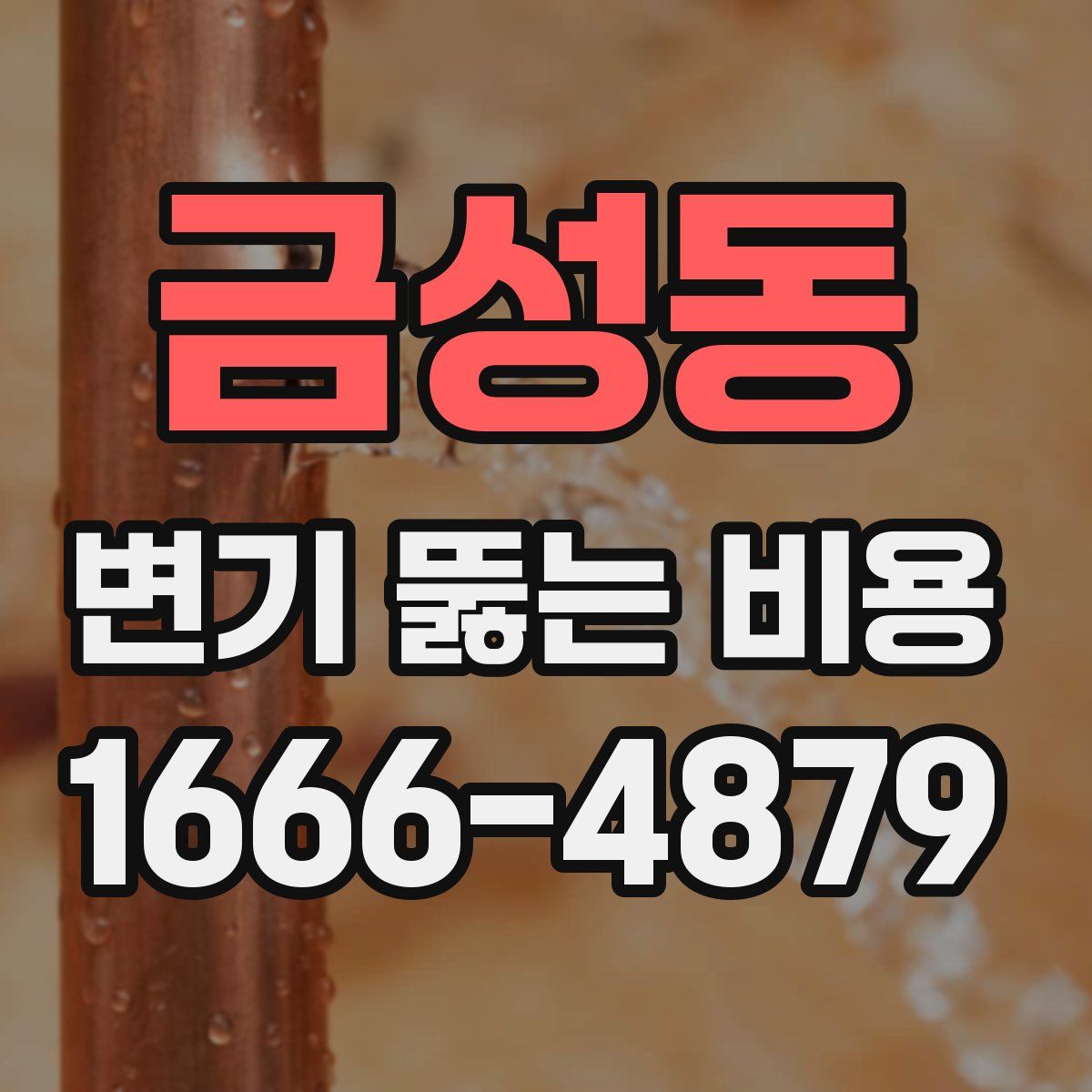 금성동 변기 뚫는 비용