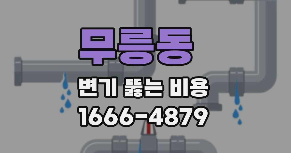 무릉동 변기 뚫는 비용