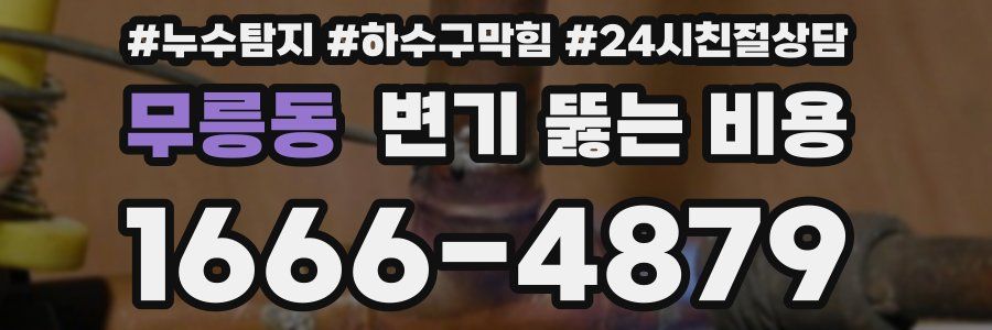 무릉동 변기 뚫는 비용