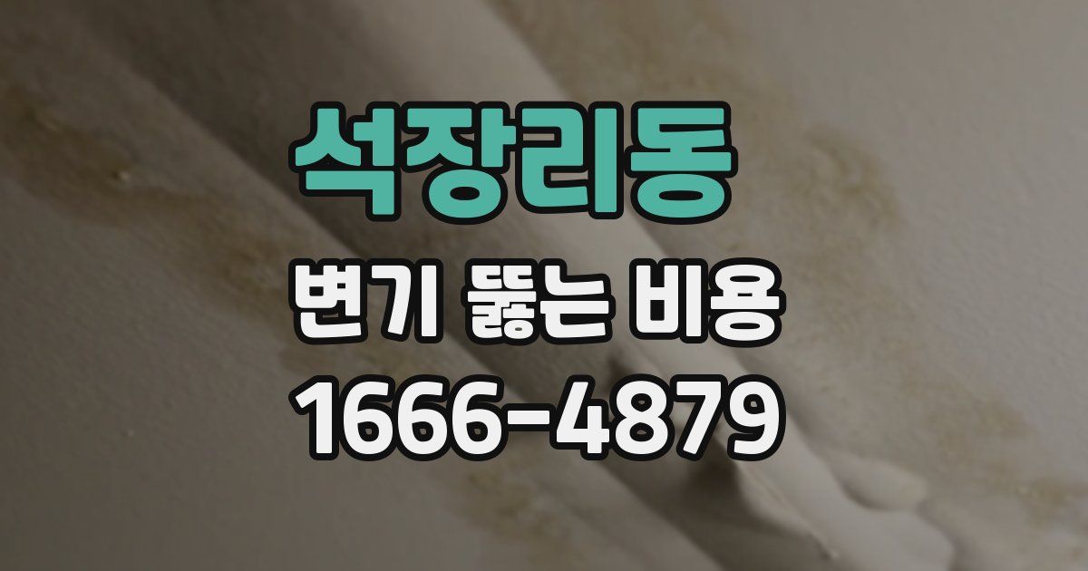 석장리동 변기 뚫는 비용