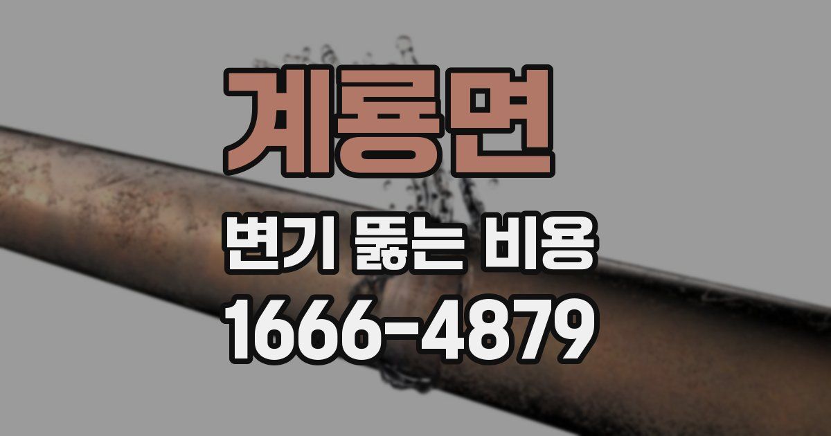 계룡면 변기 뚫는 비용