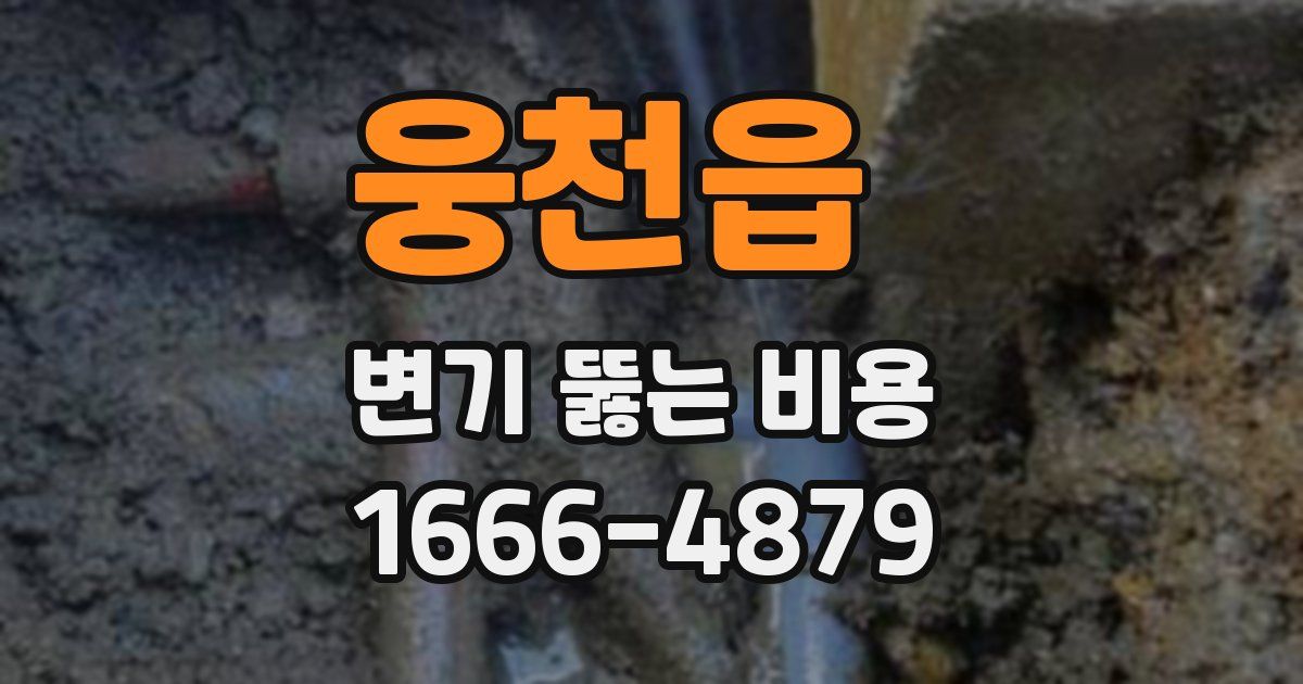웅천읍 변기 뚫는 비용