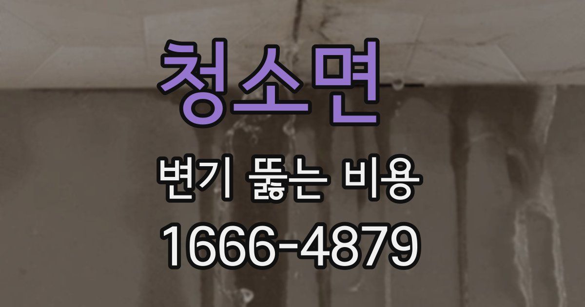 청소면 변기 뚫는 비용