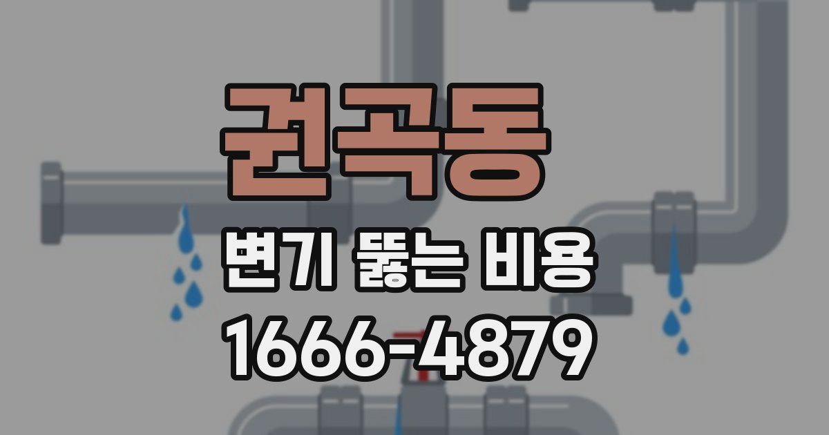 권곡동 변기 뚫는 비용