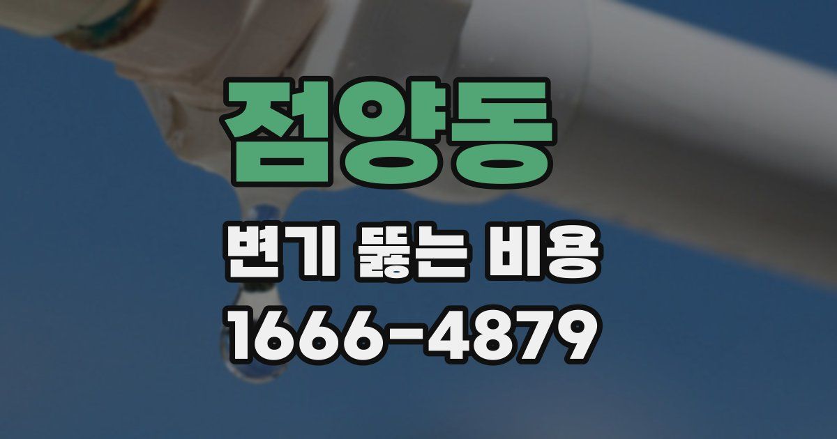 점양동 변기 뚫는 비용