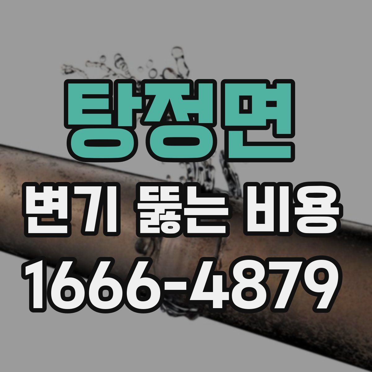 탕정면 변기 뚫는 비용