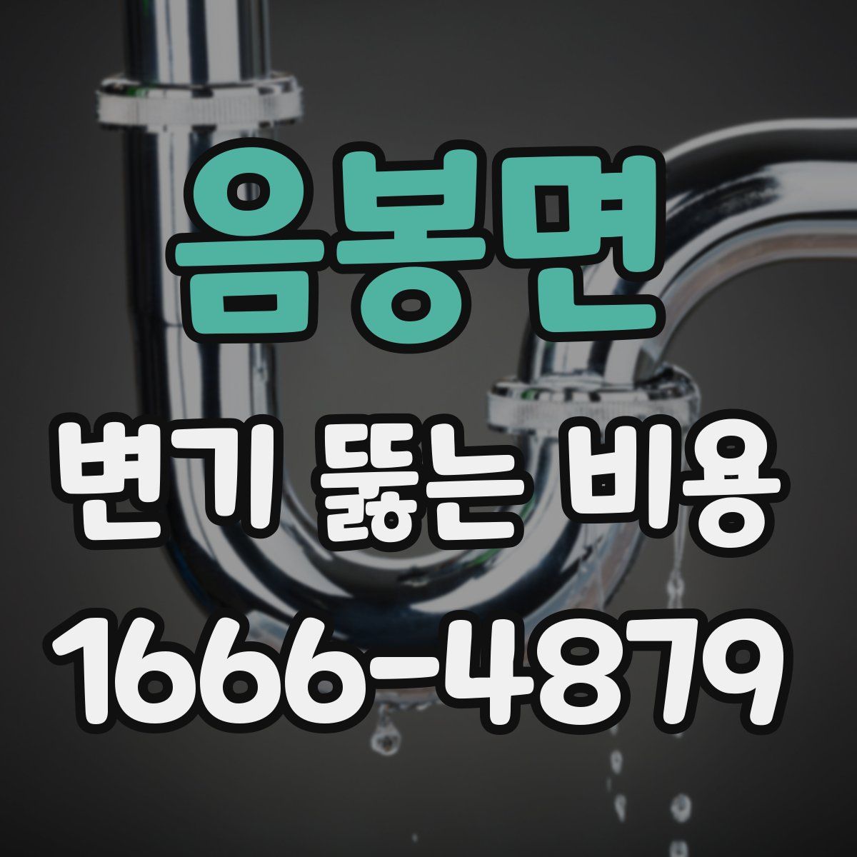 음봉면 변기 뚫는 비용