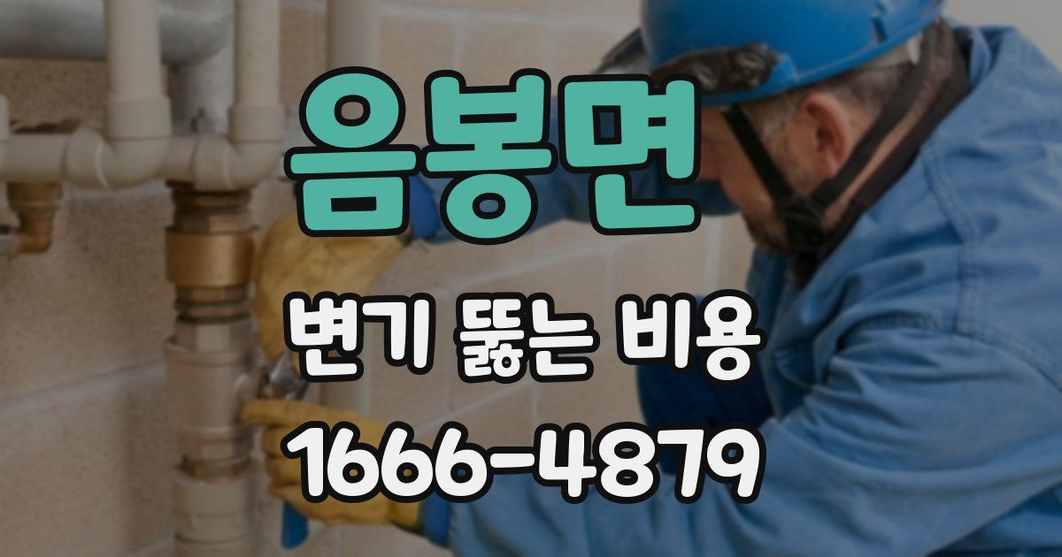 음봉면 변기 뚫는 비용