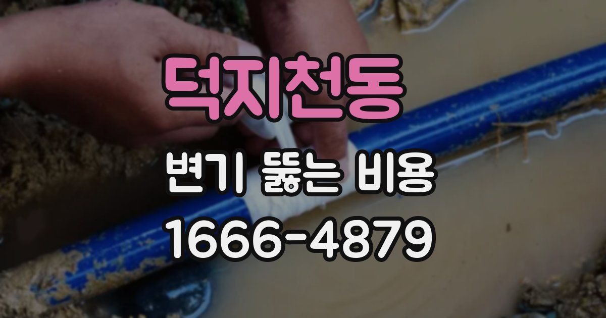 덕지천동 변기 뚫는 비용