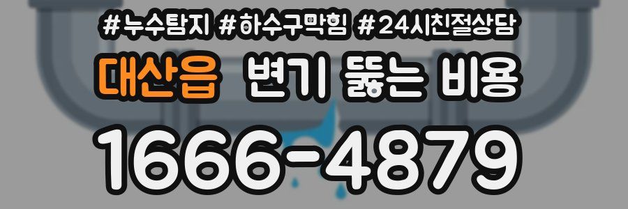 대산읍 변기 뚫는 비용