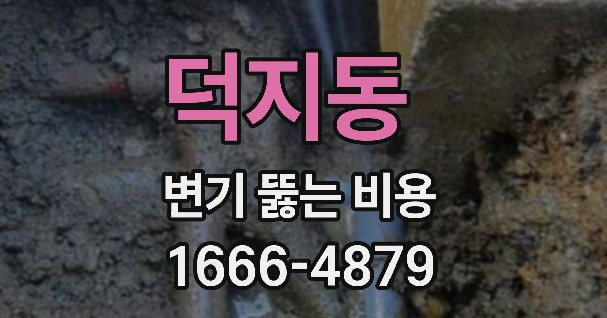 덕지동 변기 뚫는 비용