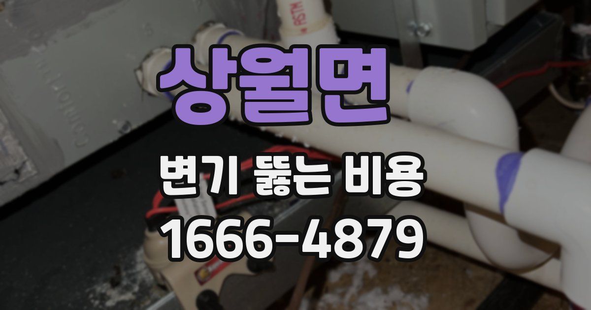 상월면 변기 뚫는 비용