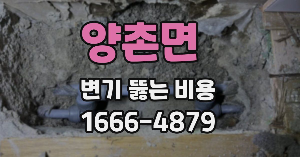 양촌면 변기 뚫는 비용