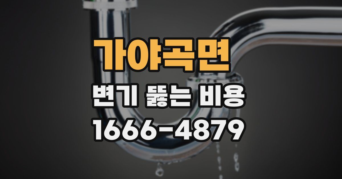 가야곡면 변기 뚫는 비용