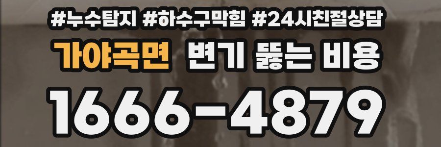 가야곡면 변기 뚫는 비용