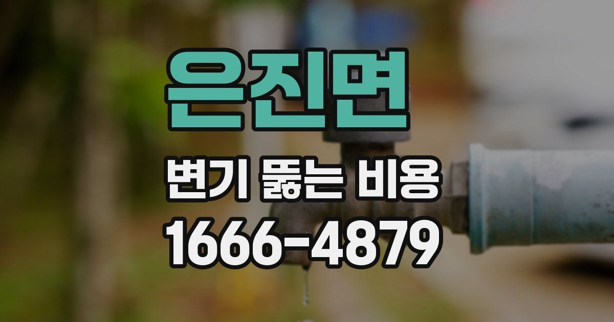 은진면 변기 뚫는 비용
