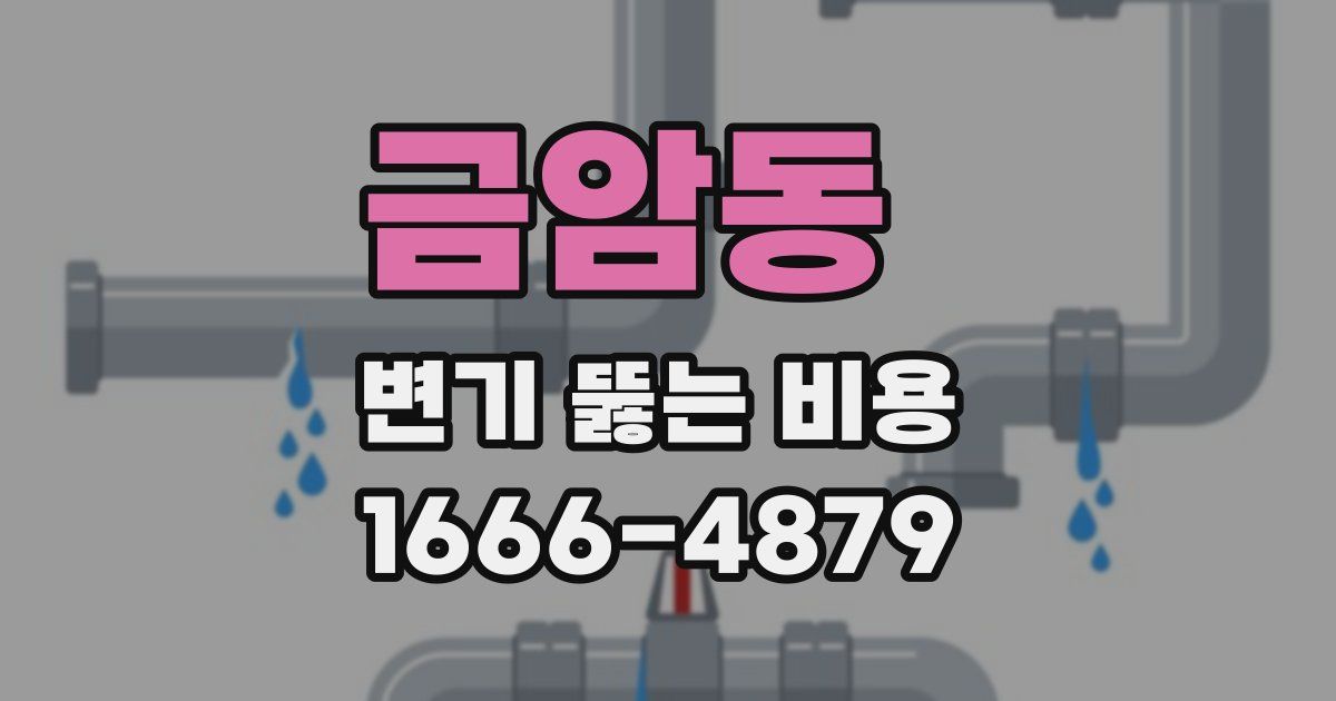 금암동 변기 뚫는 비용