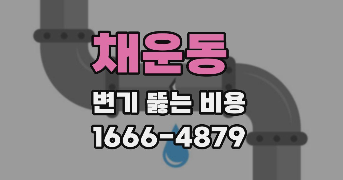 채운동 변기 뚫는 비용