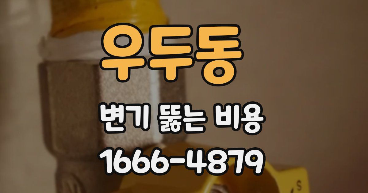 우두동 변기 뚫는 비용