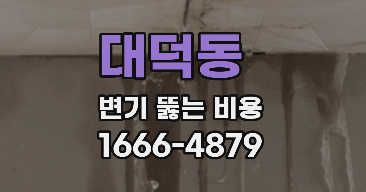 대덕동 변기 뚫는 비용