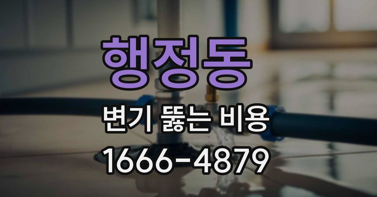 행정동 변기 뚫는 비용