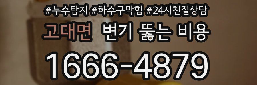 고대면 변기 뚫는 비용