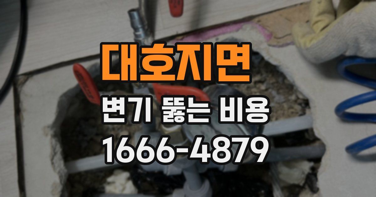 대호지면 변기 뚫는 비용