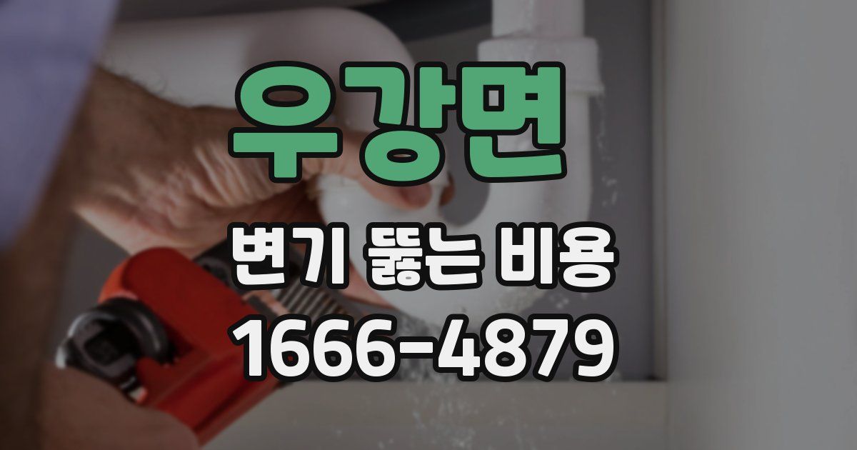 우강면 변기 뚫는 비용