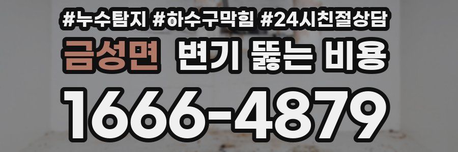 금성면 변기 뚫는 비용