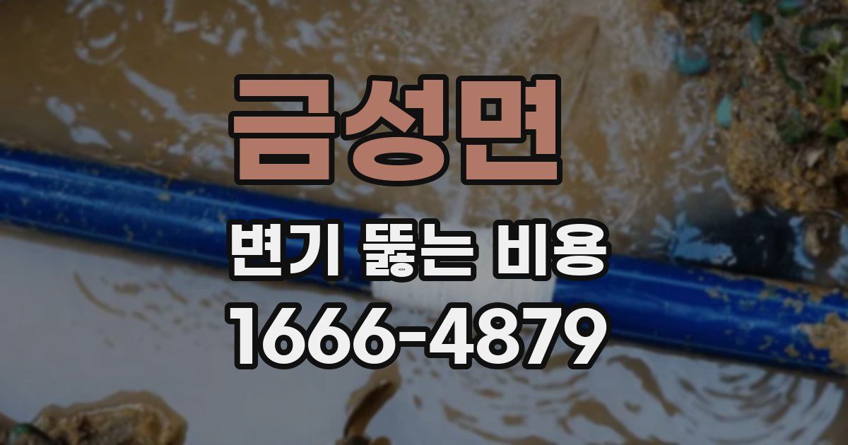금성면 변기 뚫는 비용