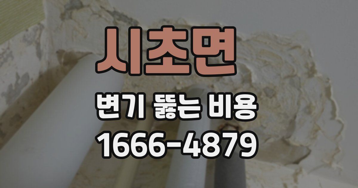 시초면 변기 뚫는 비용