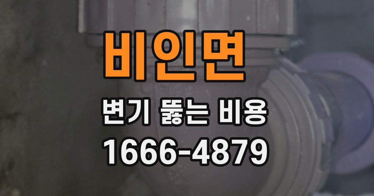 비인면 변기 뚫는 비용