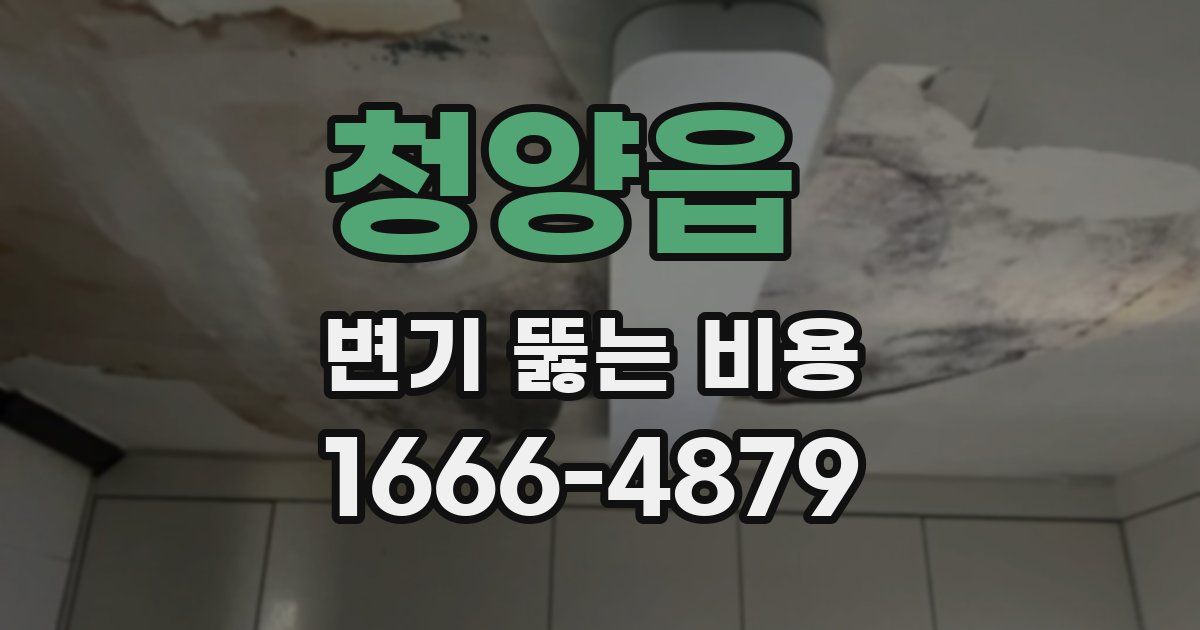 청양읍 변기 뚫는 비용