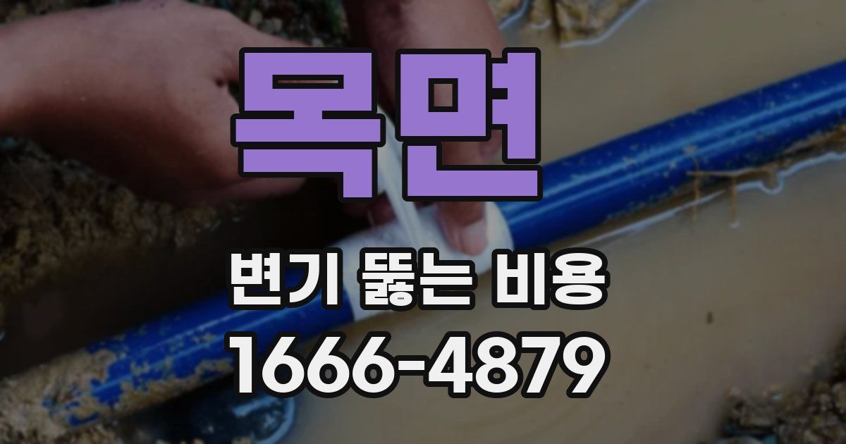 목면 변기 뚫는 비용