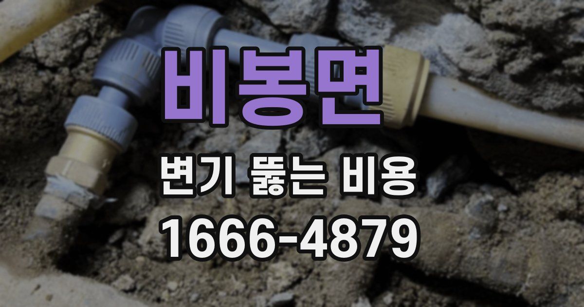 비봉면 변기 뚫는 비용