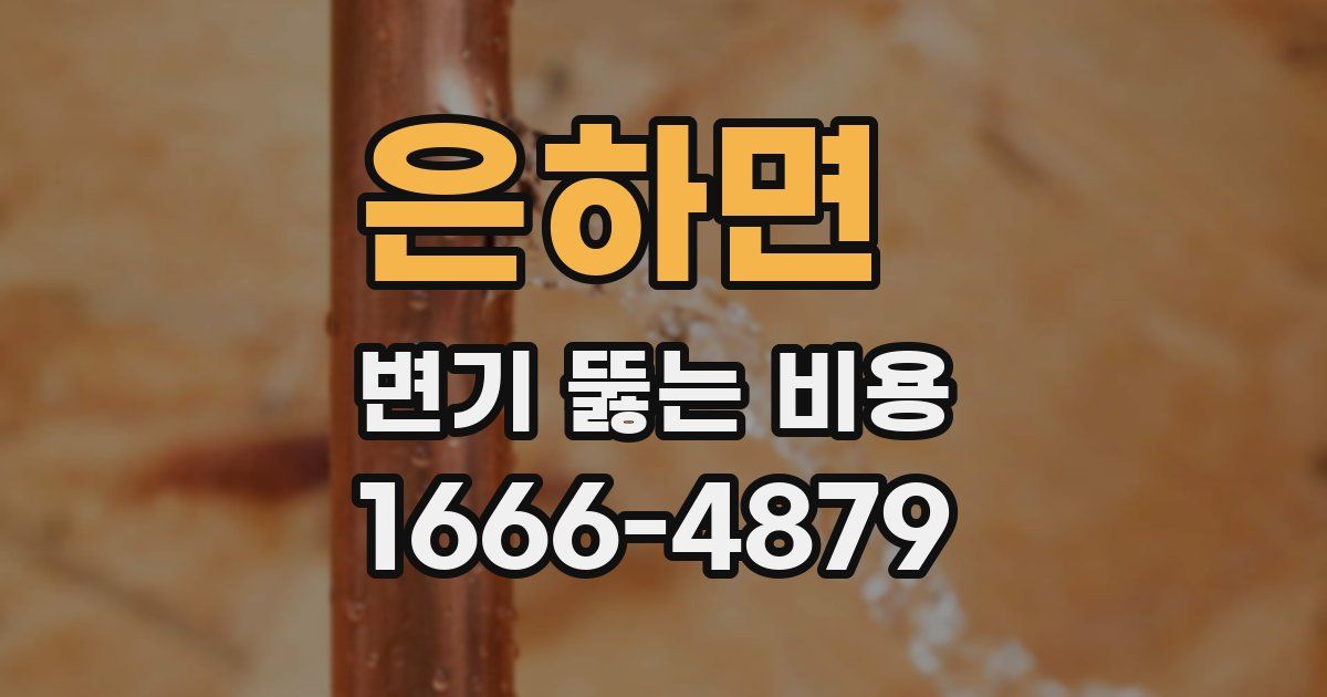은하면 변기 뚫는 비용