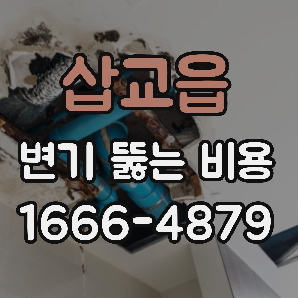 삽교읍 변기 뚫는 비용