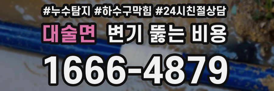 대술면 변기 뚫는 비용